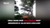 Viral! Sopir Truk Ugal-ugalan saat Mengemudi di Jalan Raya Lumajang 