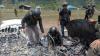 Usai Aksi KKB Bakar Pesawat Susi Air, Distrik Paro Kosong Ditinggalkan Warga