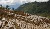 Potensi Wisata Terasering di Kabupaten Enrekang Sulsel - Bagian 2