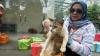 Bangka Tengah Gencarkan Program Sterilisasi untuk Tekan Populasi Kucing Liar