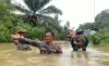 Banjir di Bengkayang Setinggi 1,5 Meter, Warga Bertahan dalam Rumah