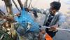 Ikan Mabuk di Sungai Brantas Jadi Rebutan Warga - Bagian 2
