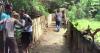 Kampung Unik di Ternate, Punya Hutan Cengkih Tertua di Dunia, Udaranya Sejuk dan Harum