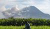 Erupsi Gunung Merapi Ancam Keberadaan 12 Mamalia di TNGM 