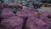 BPS Catat Inflasi Bawang Merah Tembus 30,75 Persen, Tertinggi sejak Januari 2021