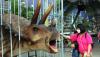 Ngabuburit Sambil Bermain bersama Dinosaurus - Bagian 2