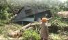 2 Rumah Warga di Mamuju Rusak Setelah Tertimpa Pohon Tumbang, Tidak Ada Korban Jiwa