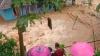 Sungai Cibala Cianjur Meluap, Ratusan Rumah Warga di 5 Desa Terendam Banjir