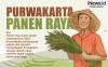Infografis Purwakarta Panen Raya, Produksi GKG Capai 101,071 Ton