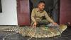 Buaya Muara Bobot 129 Kg Bikin Resah Dievakuasi dari Sungai Panghaur Banten