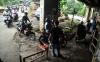 Pengendara Serbu Jalur Alternatif Menuju Kawasan Puncak Bogor - Bagian 1