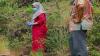 Penemuan Mayat di Hutan Perhutani Gemparkan Warga Pemalang