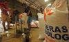 Beras Impor dari Vietnam untuk Bansos Tiba di Gudang Bulog - Bagian 2