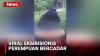 Viral Perempuan Bercadar Lakukan Aksi Eksibisionis di Perkebunan Teh Ciwidey