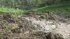 Ngeri, Detik-detik Sawah di Ponorogo Ambles lalu Longsor, Warga Histeris 