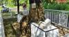 Merinding, Makam Keramat Terbelah Pohon Besar, Warga Tidak Ada yang Berani Tebang!