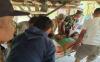 Gegara Telur Ayam, Pria di Empat Lawang Tewas Ditikam Anak Kandung