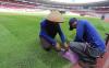 Begini Proses Pemasangan Rumput Sintetis Stadion GBK dengan Mesin Jahit - Bagian 4