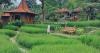10 Tempat Makan Lesehan di Bogor yang Enak dan Murah, Nomor 3 Suasananya seperti di Ubud 