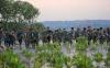 Prajurit TNI-Polri Kompak Tanam Bibit Mangrove di Pesisir Pantai Tirang Semarang