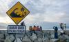 Pantai Teluk Palu Dipasang Tanda Bahaya Tsunami - Bagian 1