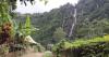 Viral, Rumah Mirip Abah Jajang, Halamannya Ada Curug dan Sawah, Miliki Pemandangan Surga