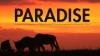 Lirik Lagu Paradise - Coldplay dan Artinya, Lagu Sejuta Umat!