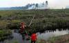Kebakaran 100 Hektare Hutan Gambut di Sumatera Barat - Bagian 2