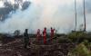 Kebakaran 100 Hektare Hutan Gambut di Sumatera Barat