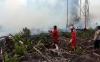 Kebakaran 100 Hektare Hutan Gambut di Sumatera Barat - Bagian 3