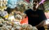 Pasokan Menipis, Segini Harga Bawang Putih di Pasar Induk Kramat Jati - Bagian 4