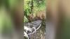 Jombang Geger, Pria Ditemukan Tewas bersama Motornya di Dasar Sungai