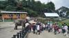  10  Wisata Cikole Bandung: Jelajahi Dunia Satwa Bersama Keluarga di Lembang Park and Zoo