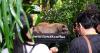 Mencicipi Kopi Termahal di Dunia dari Hutan Pinus Gunung Sumbing