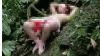 5 Fakta Pemuda Berkostum BDSM di Coban Glotak Malang, Nomor 3 Bikin Geleng Kepala