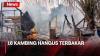 Api Lahap Rumah dan Lapak Hewan Kurban di Cakung, 16 Ekor Kambing Hangus Terbakar