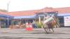Puluhan Penarik Becak di Brebes Adu Ketangkasan Freestyle 