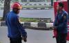 Damkar Evakuasi Ular Sanca 4 Meter di Cibinong Bogor, Ini Penampakannya