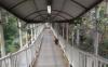 Viral Pria BAB di JPO Semanggi, Transjakarta Kerahkan Petugas Kebersihan