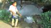  Respons Cepat Permintaan Warga Kendal, DPW dan DPD Partai Perindo Fogging di 12 RT 