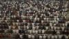 Membeludak, 40.000 Jemaah Salat Idul Adha Padati Masjid Al Akbar Surabaya 