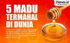 Infografis 5 Madu Termahal di Dunia