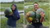 Kisah Sejoli Lulusan UI dan Unair, Kini Sukses Jadi Petani Buah di Palangka Raya
