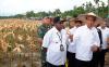 Presiden Jokowi Pakai Topi Petani Panen Jagung di Papua - Bagian 1