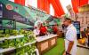 Sandiaga Uno Tinjau Persiapan Papua Street Carnival 2023 - Bagian 3