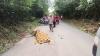 Pria di PALI Tewas Dibacok, Leher Hampir Putus Tergeletak di Pinggir Jalan