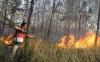 Kebakaran 2 Hektare Hutan Jati di Ngawi - Bagian 2
