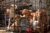 Bule-Bule Selamatkan 21 Anjing dari Rumah Potong Hewan di Tomohon - Bagian 3