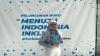 Luncurkan Buku Menuju Indonesia Inklusi, Angkie Yudistia: dari Disabilitas untuk Disabilitas di Indonesia