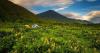 Surga Tersembunyi di Gunung Rinjani, Unik Ada Savana Hijau Mirip Permadani Raksasa 